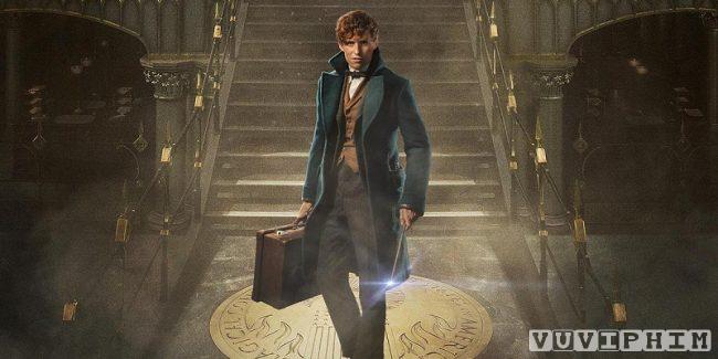 Sinh Vật Huyền Bí Và Nơi Tìm Ra Chúng - Fantastic Beasts and Where to Find Them 2016